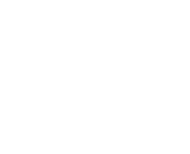 consumer icon